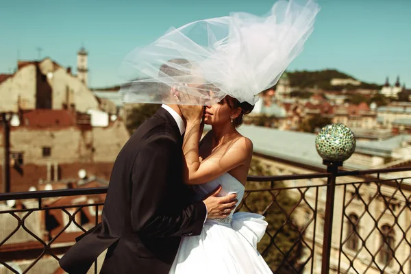 Sposo baci teneramente sposa mentre velo li copre — Foto Stock