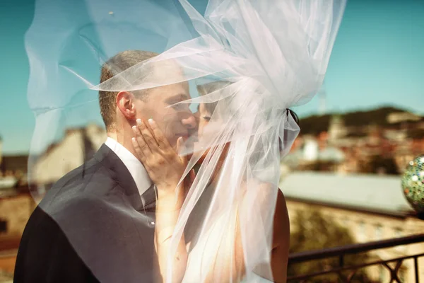 Véu esconde rostos de beijar apenas casal — Fotografia de Stock