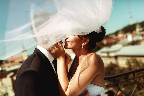 Os recém-casados enfrentam meio cobertos por um véu. Casamento casal beijos em — Fotografia de Stock