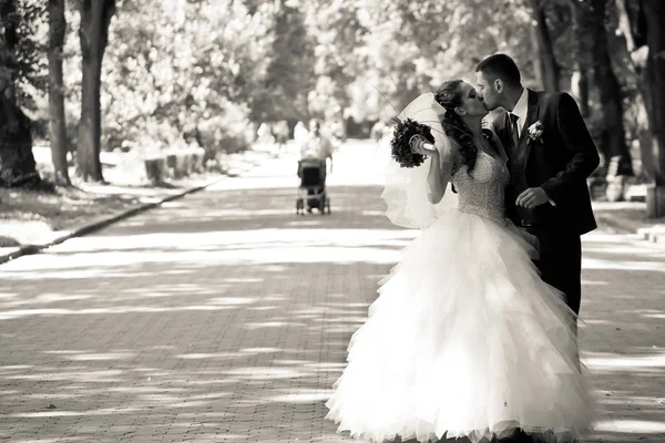 Impresionante boda pareja besos en el camino en parque — Foto de Stock