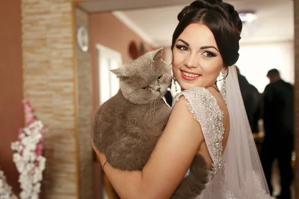 La novia olorosa mantiene a su gato —  Fotos de Stock