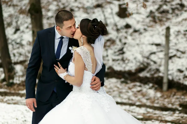 Невесты целуются в парке — стоковое фото