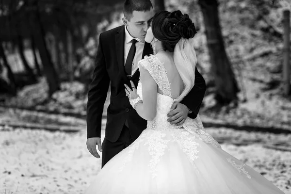 A menyasszony csókolózik a parkban — Stock Fotó