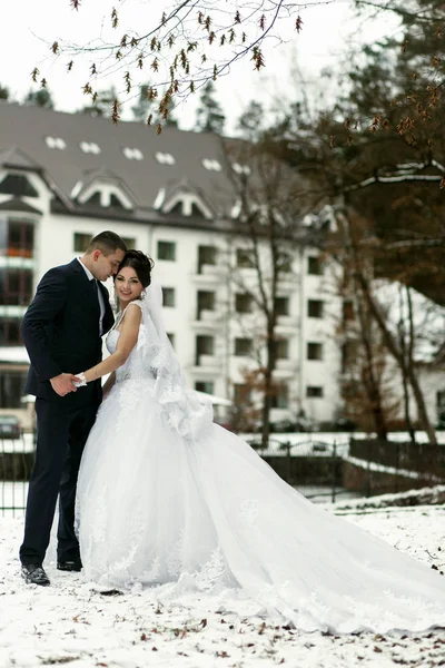 Brude omfavne nær frosne sø - Stock-foto