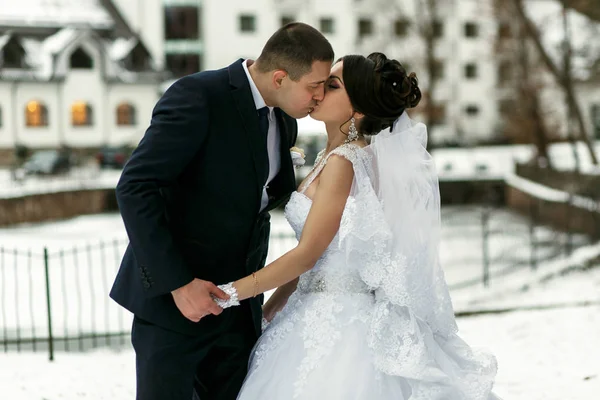 Le spose si baciano vicino al lago ghiacciato — Foto Stock