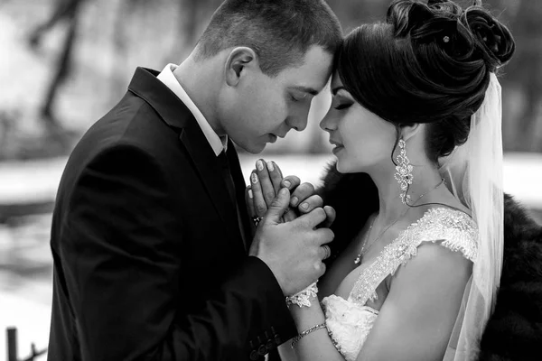 The lovely couple in love hold hands  in the park — Stock Photo, Image