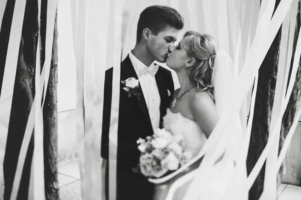 Krásný manželský pár polibků je obklopen bílými se šňůrkou — Stock fotografie