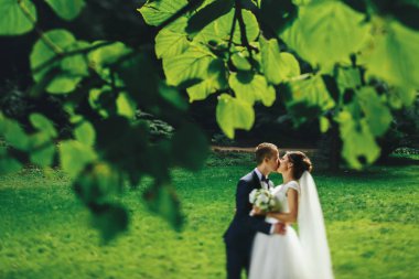 Yeni evliler ayakta yeşil çimenlerin üstünde öp. 