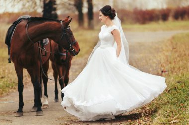 Gelin kahverengi at arkasında duran fırtınası 