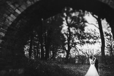 Gelin ve damat eski bir tuğla köprü altında ayakta sarılmak 