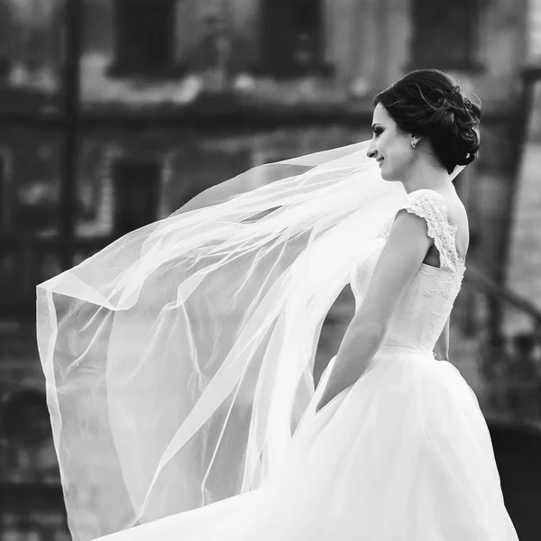 Wind blows bride's veil while she stands thoughtful behind an ol — Stock Photo, Image