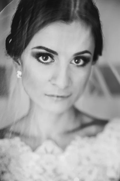 Ein zartes Bild einer Braut, die unter einem Schleier steht — Stockfoto