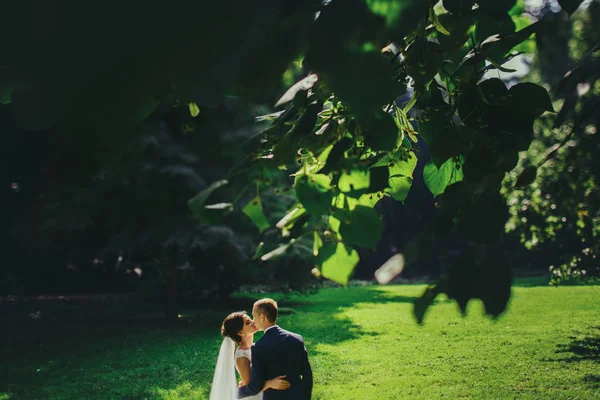 Uma vista de folhas verdes em um casal de casamento beijando — Fotografia de Stock