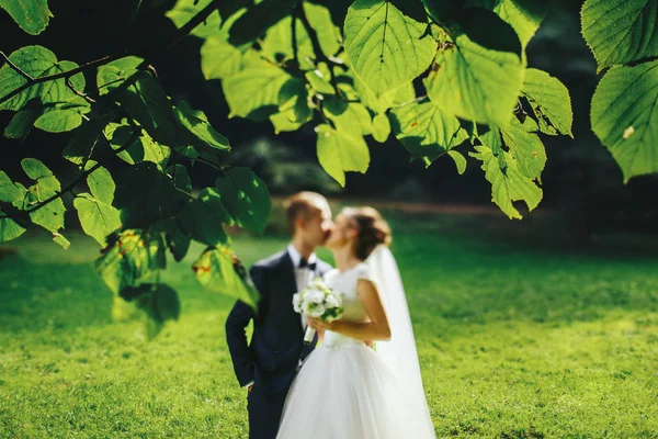 Uma imagem turva de recém-casados se beijando no jardim verde — Fotografia de Stock