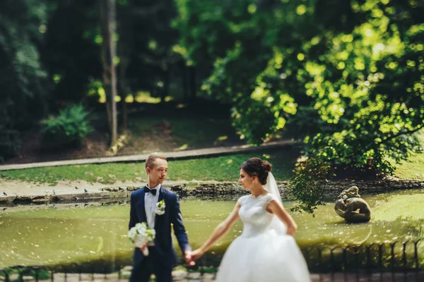 Жених смотрит на невесту, идущую с ней вдоль берега озера — стоковое фото
