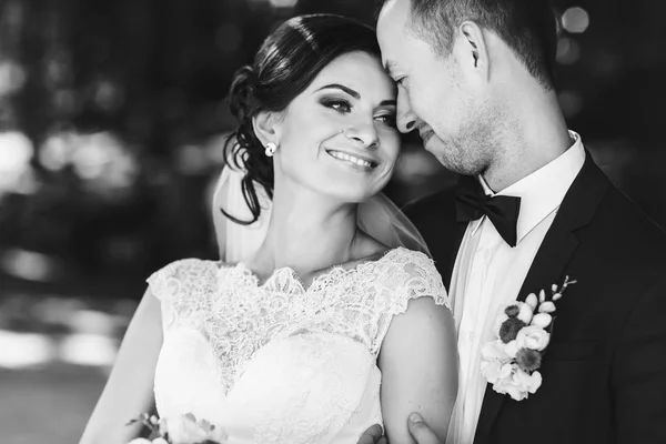 Novia y novio disfrutan de un momento abrazándose en el parque — Foto de Stock