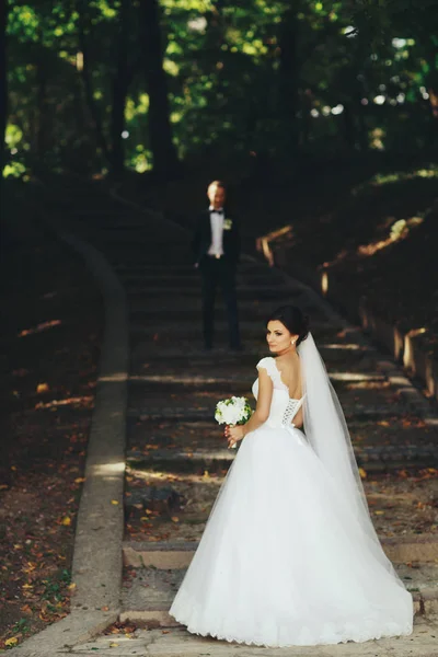 Наречена чекає на садових сходах, а наречений стоїть на ба — стокове фото