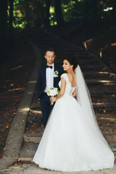 Menyasszony és a vőlegény állni a lépcsőn a parkban — Stock Fotó