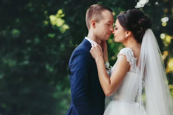 La mariée tient le nœud papillon du marié penché sur son visage — Photo