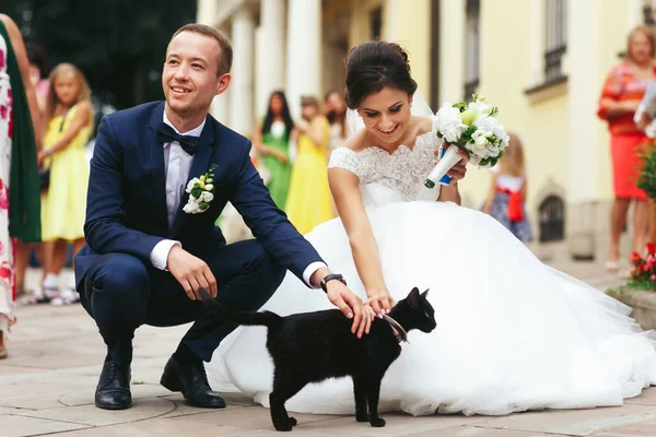 Les jeunes mariés caressent un chat noir dans la rue — Photo