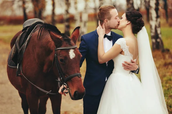 La novia besa a un novio parado detrás de un caballo — Foto de Stock