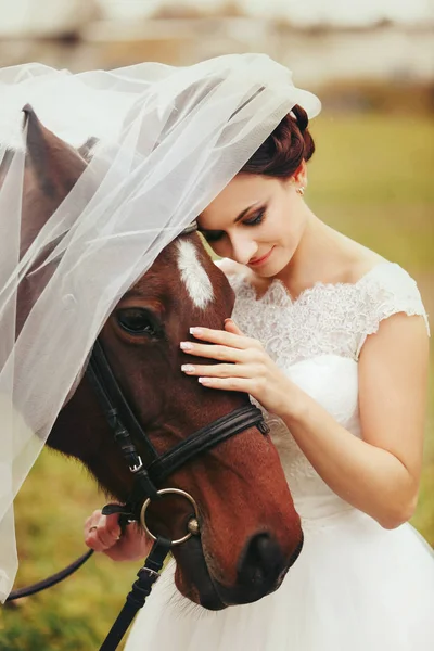 新娘的面纱遮住匹棕色的马头部 — 图库照片