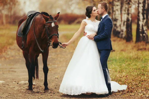 Novio besa a una novia mientras ella sostiene un arnés en el caballo — Foto de Stock