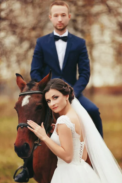 Noiva fica atrás de um cavalo enquanto o noivo se senta de costas — Fotografia de Stock