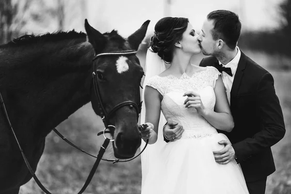 Novio sostiene novia tierna de pie detrás de un caballo — Foto de Stock