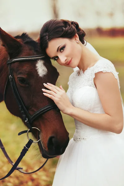 Гарненька наречена гладить голову коня — стокове фото