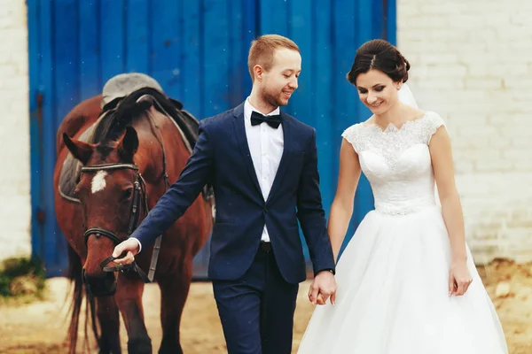 Newlyweds walk with a horse from the stable