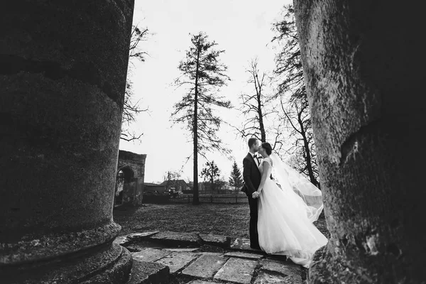 Groom beija uma noiva enquanto o vento sopra seu véu — Fotografia de Stock