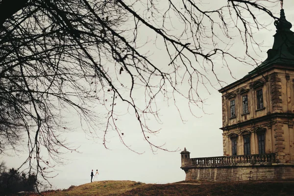 Blick vom nackten Baum auf ein Hochzeitspaar, das auf der h — Stockfoto