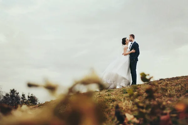 Um olhar das folhas caídas em um casal de casamento beijando no — Fotografia de Stock