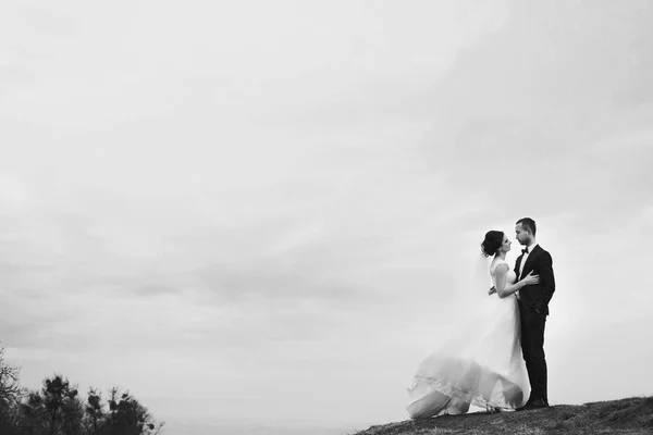 Foto em preto e branco de recém-casados em pé na colina sob — Fotografia de Stock