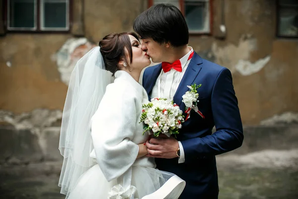 Sebuah ciuman lembut pengantin baru berdiri di halaman belakang abu-abu tua — Stok Foto