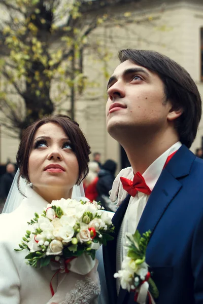 Impresionante novia y novio miran en el aire — Foto de Stock