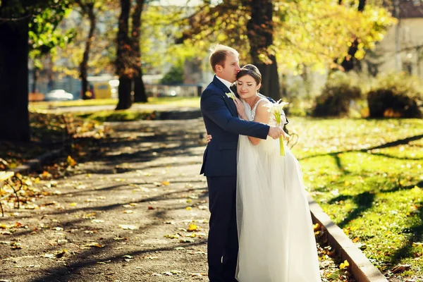 A tender picture of newlyweds standing in the bright autumn park — Stock Photo, Image