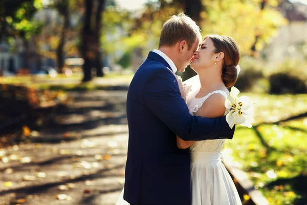 Sposo si appoggia alla sposa bruna in posa nel parco autunnale — Foto Stock