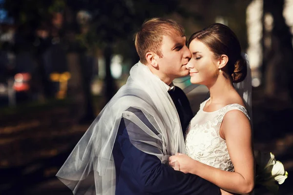 Groom embrasse le nez de la mariée tendre debout dans les lumières d'un au — Photo