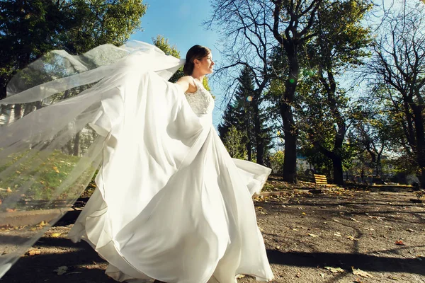 Mariée semble magnifique tandis que le vent souffle sa robe et voile — Photo