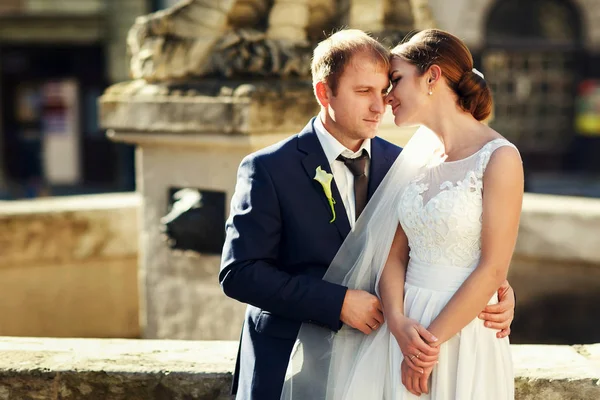 Ein friedlicher Bräutigam hält eine zarte Braut in seinen Armen, während sie — Stockfoto