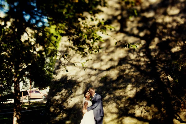 Bride and groom stand hugging in trees' shadow — Stock Photo, Image