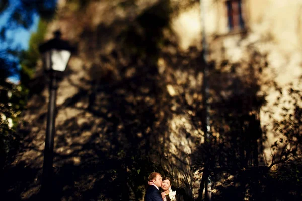 A look from afar on the newlyweds standing behind a wall in the — Stock Photo, Image