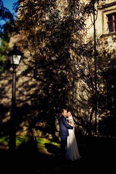 Splendidi sposi abbracciano sul cortile verde — Foto Stock