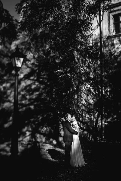 Bride and groom stand peaceful in the shadow of big trees — Stock Photo, Image