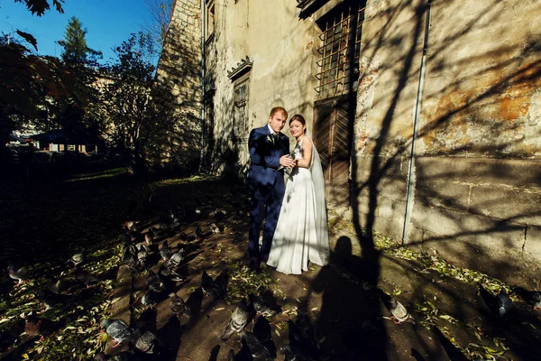 Свадебная пара стоит на старом дворе в окружении голубя — стоковое фото