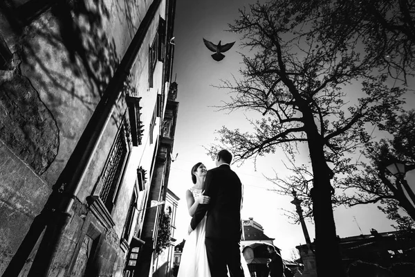 Голубь пролетает над счастливыми молодоженами, позирующими на улице — стоковое фото