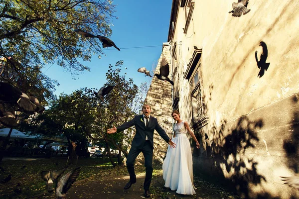 Жених выглядит забавно, рассеивая голубей. — стоковое фото