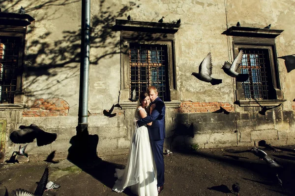 Holubi létají kolem objímání novomanželé — Stock fotografie